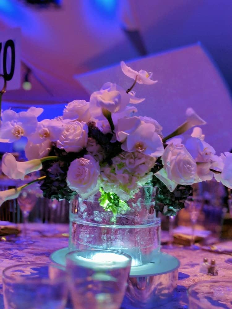 Centerpieces Ice Lab