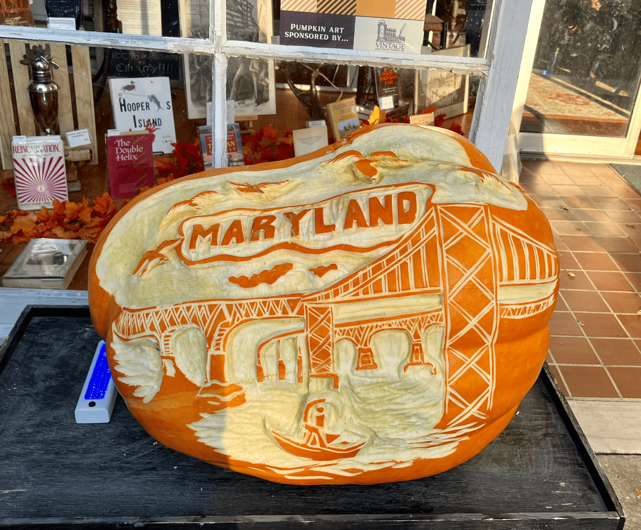 Pumpkin Carving Ice Lab